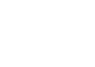 logo-sulcosa-home